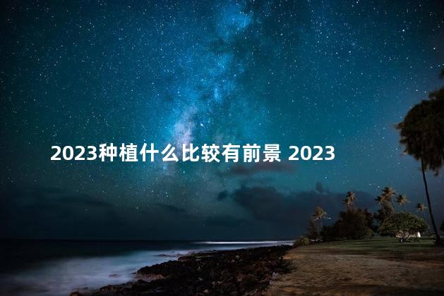 2023种植什么比较有前景 2023是什么世纪